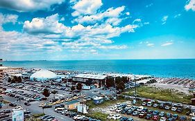 Scoica Alba Mamaia Nord Summerland